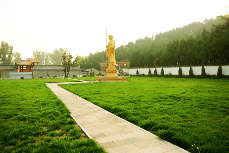 佛像远景